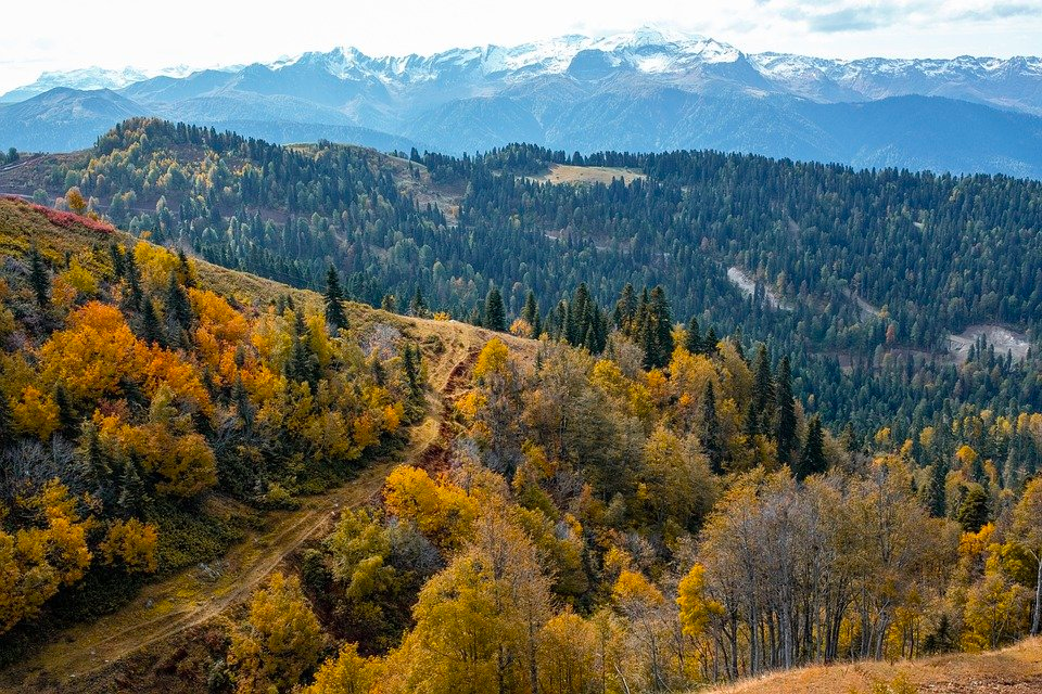 힘세고 오래가는 테스트 전략
